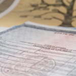 New Brunswick birth certificate sample - essential document for newborn registration