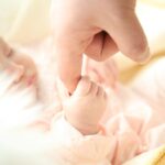 Nova Scotia government website for applying for birth certificates online.